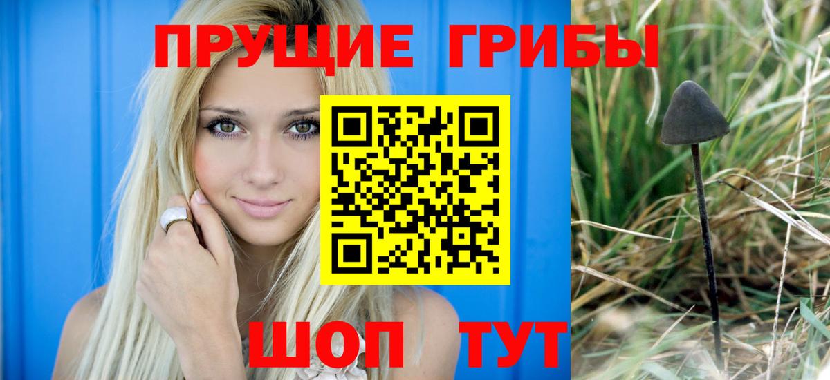 Галлюциногенные грибы мицелий  Вход с VPN  Иваново 